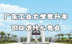 安徽工业大学专升本可以选什么专业