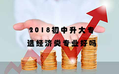 2018初中升大专选经济类专业好吗?