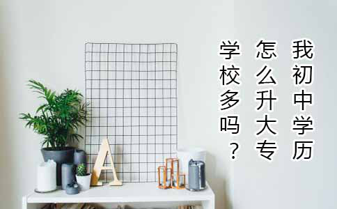 我初中学历怎么升大专,学校多吗?